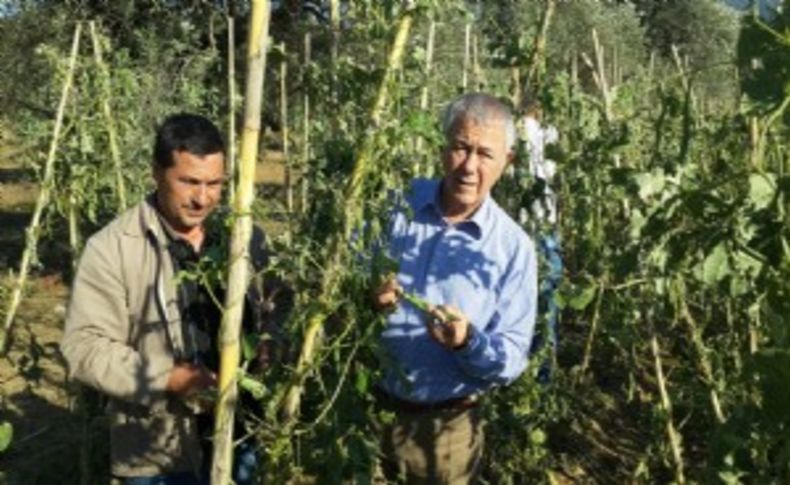 CHP’li Yüksel felaket bölgesinde